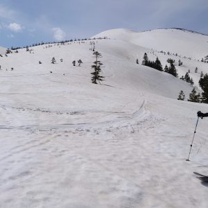 八甲田 春スキー行ってきました！